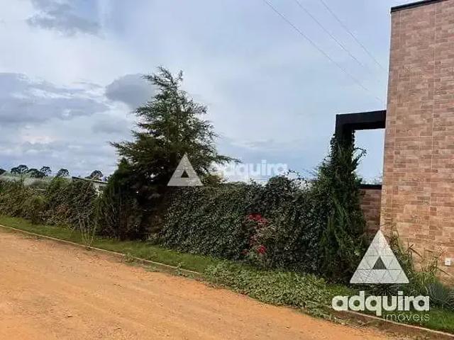 Sítio e chácara venda em Região Geográfica Imediata de Ponta Grossa, Ponta Grossa