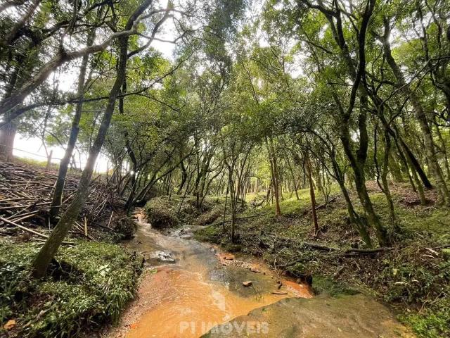 Sítio e chácara venda em Ponta Grossa, Região Geográfica Intermediária de Ponta Grossa