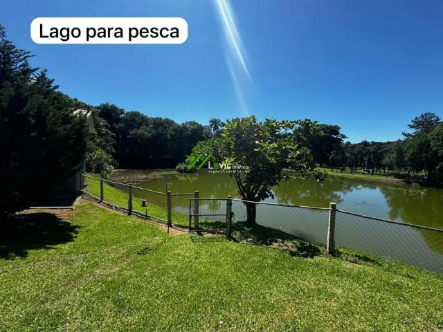 Sítio e chácara venda em Ponta Grossa, Região Geográfica Intermediária de Ponta Grossa