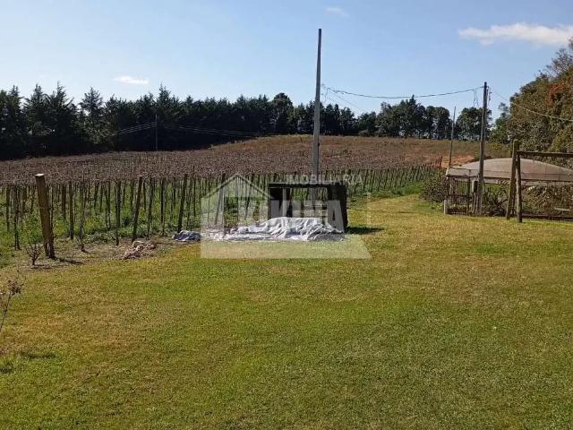 Sítio e chácara venda em Guaragi, Ponta Grossa