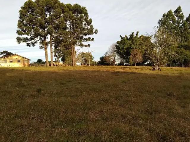Sítio e chácara venda em Região Geográfica Imediata de Ponta Grossa, Ponta Grossa