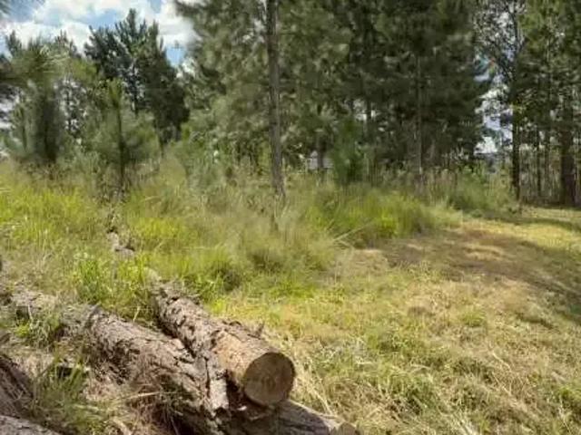 Sítio e chácara venda em Região Geográfica Imediata de Ponta Grossa, Ponta Grossa