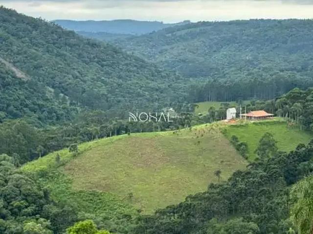Sítio e chácara venda em Itaiacoca, Ponta Grossa