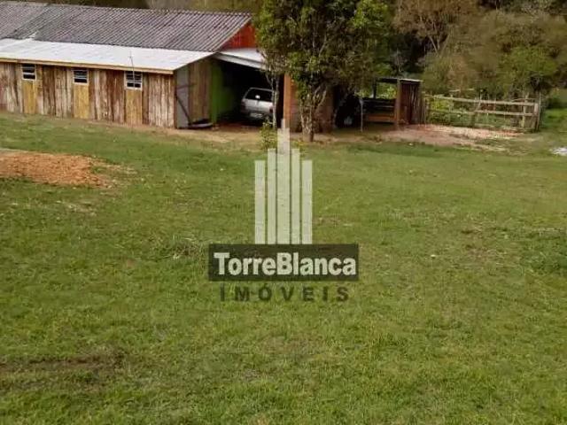 Sítio e chácara venda em Região Sul