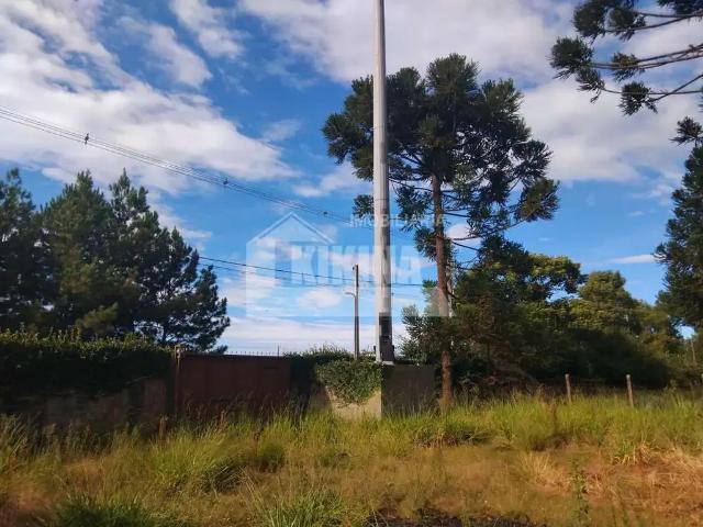 Sítio e chácara venda em Vila Vilela, Ponta Grossa