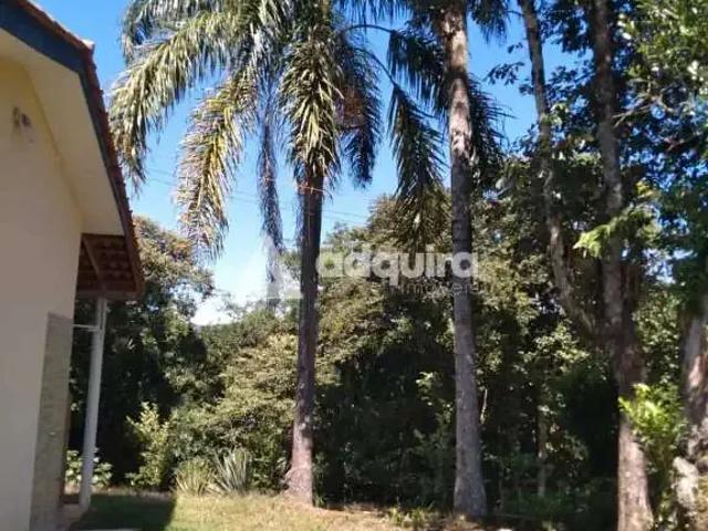 Sítio e chácara venda em Região Geográfica Imediata de Ponta Grossa, Ponta Grossa