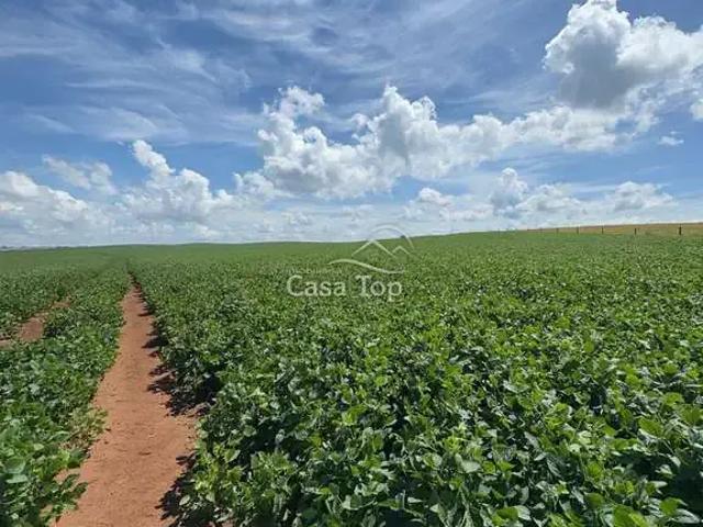 Sítio e chácara venda em Ponta Grossa, Região Geográfica Intermediária de Ponta Grossa
