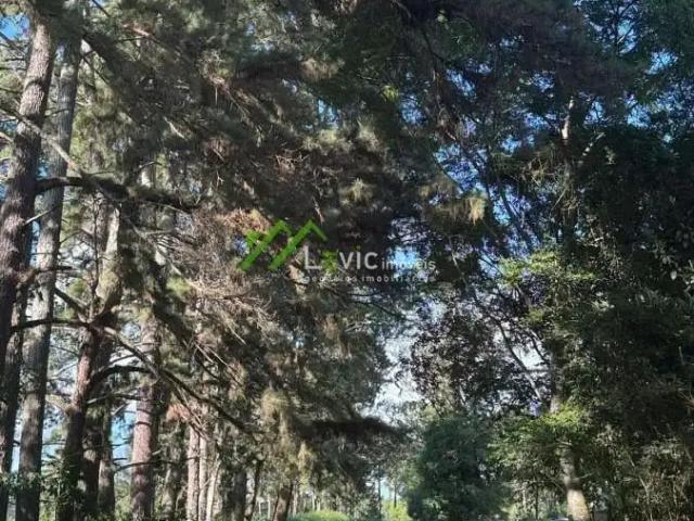 Sítio e chácara venda em Contorno, Ponta Grossa