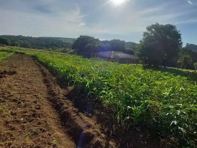 Sítio e chácara venda em Ponta Grossa, Região Geográfica Intermediária de Ponta Grossa