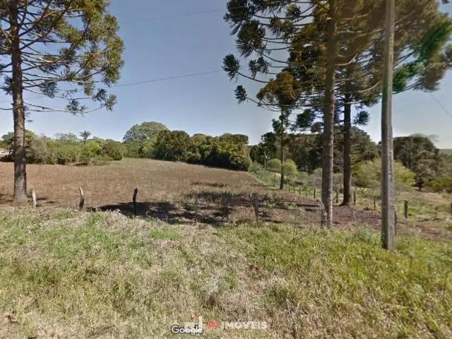 Sítio e chácara venda em Região Geográfica Imediata de Ponta Grossa, Ponta Grossa