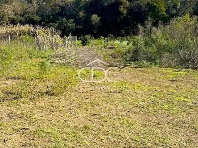 Sítio e chácara venda em Região Geográfica Imediata de Ponta Grossa, Ponta Grossa