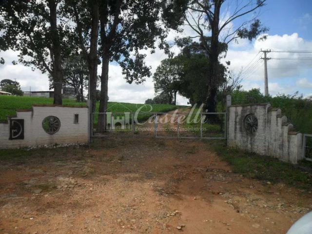 Sítio e chácara venda em Uvaranas, Ponta Grossa