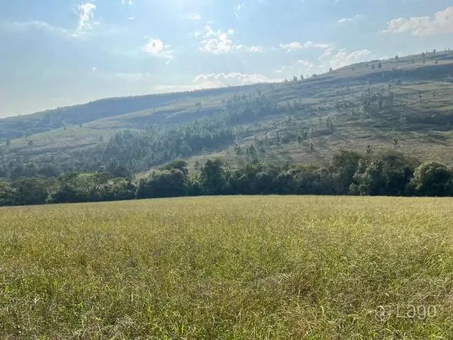 Sítio e chácara venda em Região Geográfica Imediata de Ponta Grossa, Ponta Grossa