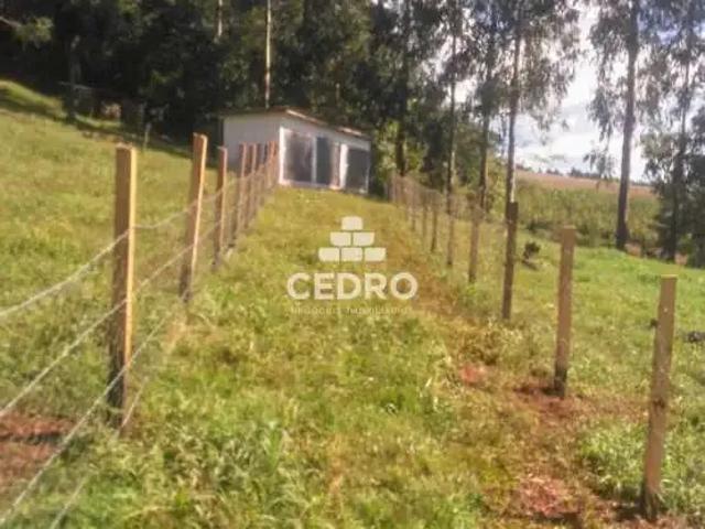 Sítio e chácara venda em Região Geográfica Imediata de Maringá, Maringá