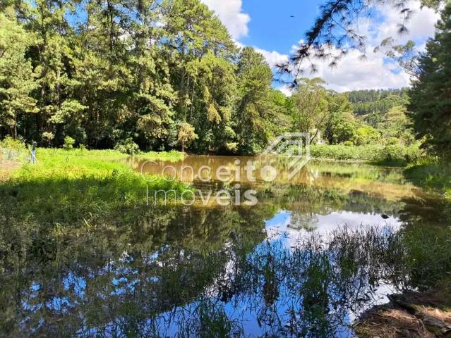 Sítio e chácara venda em Região Geográfica Imediata de Ponta Grossa, Arapoti