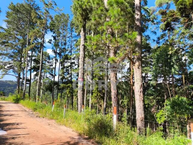 Sítio e chácara venda em Ponta Grossa, Região Geográfica Intermediária de Ponta Grossa