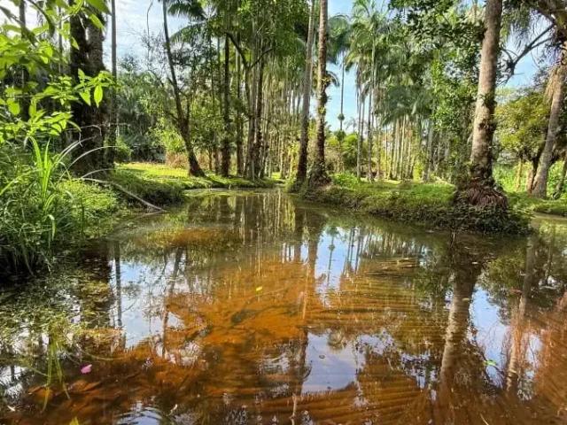 Sítio e chácara venda em Região Geográfica Imediata de Paranaguá, Guaraquecaba