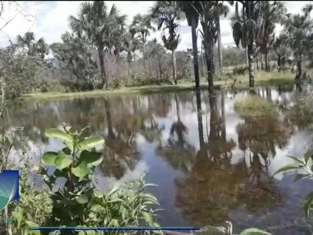 Sítio e chácara venda em Região Geográfica Imediata de Dianópolis, Ponte Alta do Bom Jesus