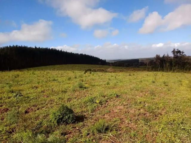 Sítio e chácara venda em Região Geográfica Imediata de Lages, Ponte Alta