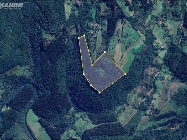 Sítio e chácara venda em Região Geográfica Imediata de Xanxerê, Ponte Serrada