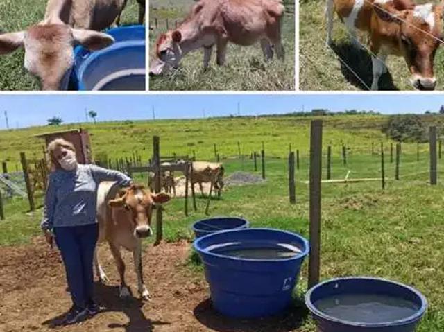 Sítio e chácara venda em Região Imediata de São Paulo, Região Metropolitana de São Paulo