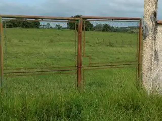 Sítio e chácara venda em Região Geográfica Imediata de Porangatu, Porangatu