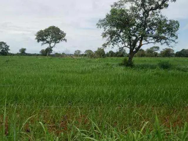 Sítio e chácara venda em Região Geográfica Imediata de Porangatu, Porangatu