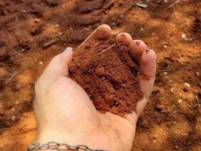 Sítio e chácara venda em Vila Barros, Porangatu