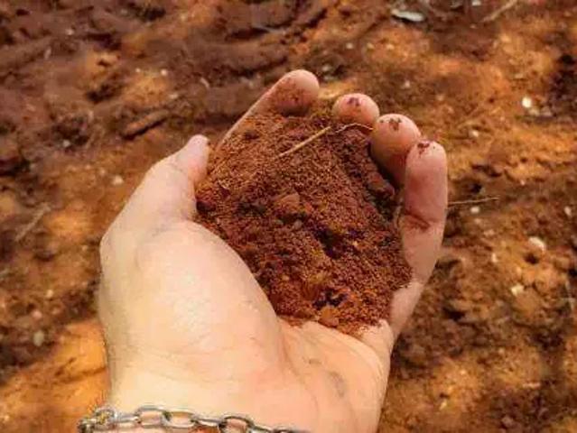 Sítio e chácara venda em Região Geográfica Imediata de Porangatu, Porangatu