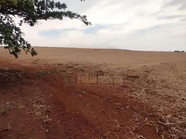 Sítio e chácara venda em Região Geográfica Imediata de Londrina, Porecatu