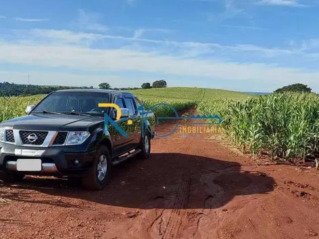 Sítio e chácara venda em Região Geográfica Imediata de Londrina, Porecatu