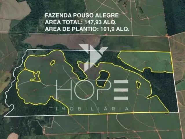 Sítio e chácara venda em Região Geográfica Imediata de Londrina, Porecatu