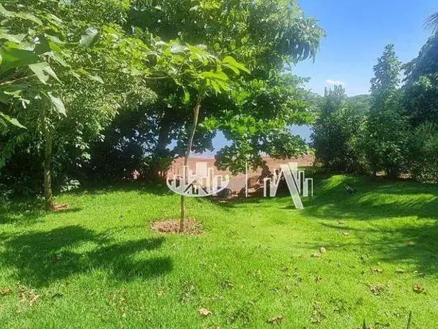 Sítio e chácara venda em Porecatu, Região Geográfica Intermediária de Londrina