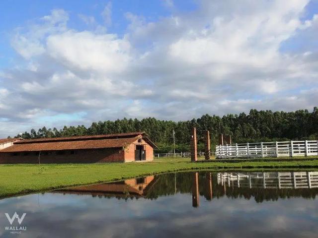 Sítio e chácara venda em Região Geográfica Imediata de Novo Hamburgo - São Leopoldo, Região Metropolitana de Porto Alegre