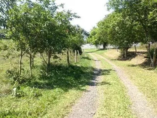 Sítio e chácara venda em Região Geográfica Imediata de Novo Hamburgo - São Leopoldo, Região Metropolitana de Porto Alegre