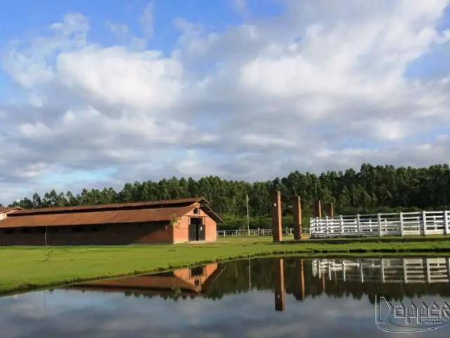 Sítio e chácara venda em Região Geográfica Imediata de Novo Hamburgo - São Leopoldo, Região Metropolitana de Porto Alegre