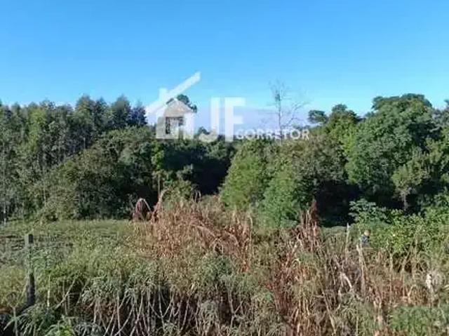 Sítio e chácara venda em Região Geográfica Imediata de Novo Hamburgo - São Leopoldo, Região Metropolitana de Porto Alegre