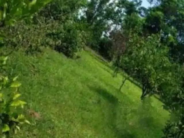 Sítio e chácara venda em Região Geográfica Imediata de Novo Hamburgo - São Leopoldo, Região Metropolitana de Porto Alegre