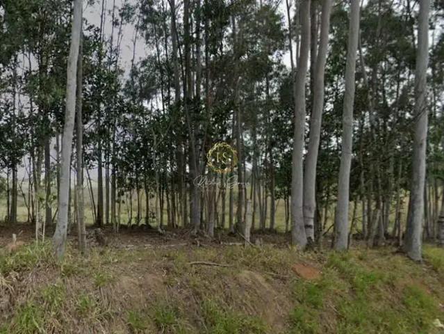 Sítio e chácara venda em Região Geográfica Imediata de Novo Hamburgo - São Leopoldo, Região Metropolitana de Porto Alegre