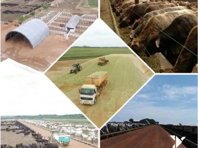 Sítio e chácara venda em Região Geográfica Imediata de Confresa - Vila Rica, Porto Alegre do Norte