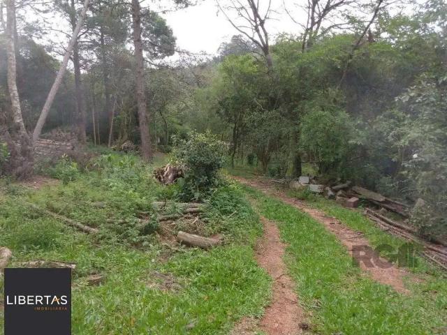 Sítio e chácara venda em Região Geográfica Imediata de Porto Alegre, Região Metropolitana de Porto Alegre