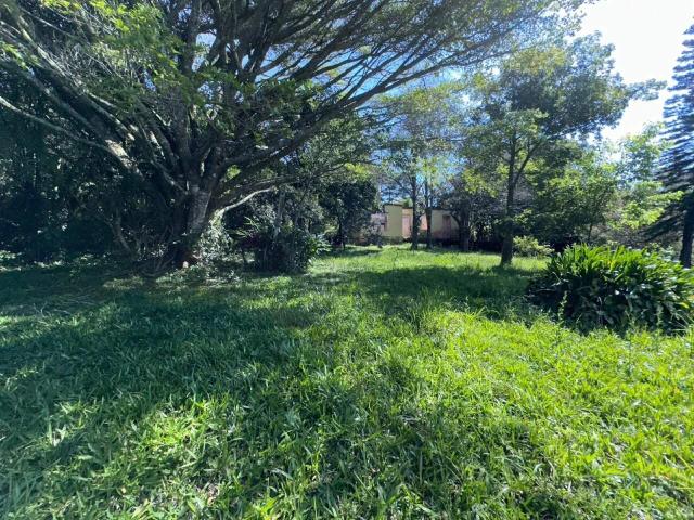 Sítio e chácara venda em Boa Vista do Sul, Porto Alegre
