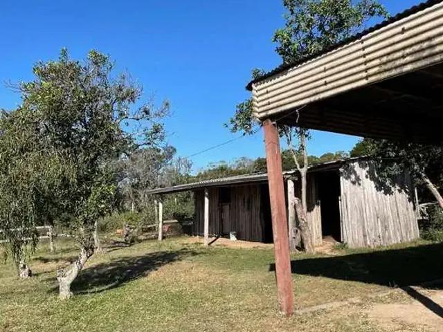 Sítio e chácara venda em Região Geográfica Imediata de Porto Alegre, Região Metropolitana de Porto Alegre