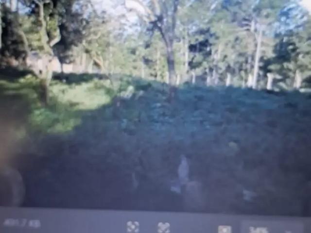 Sítio e chácara venda em Hípica, Porto Alegre