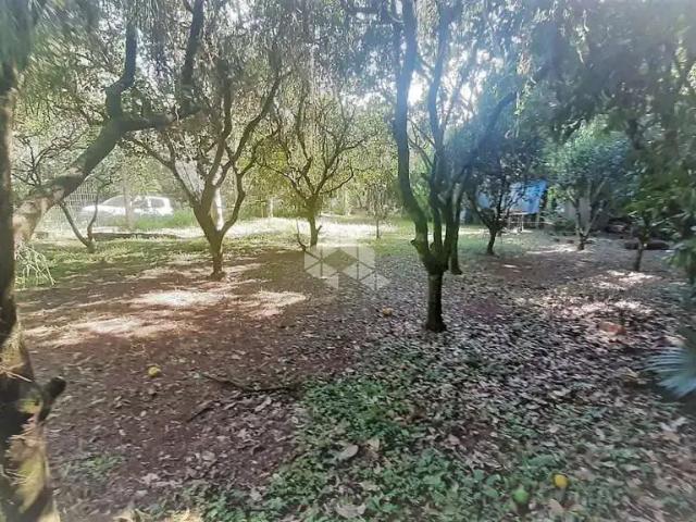Sítio e chácara venda em Região Geográfica Imediata de Porto Alegre, Região Metropolitana de Porto Alegre