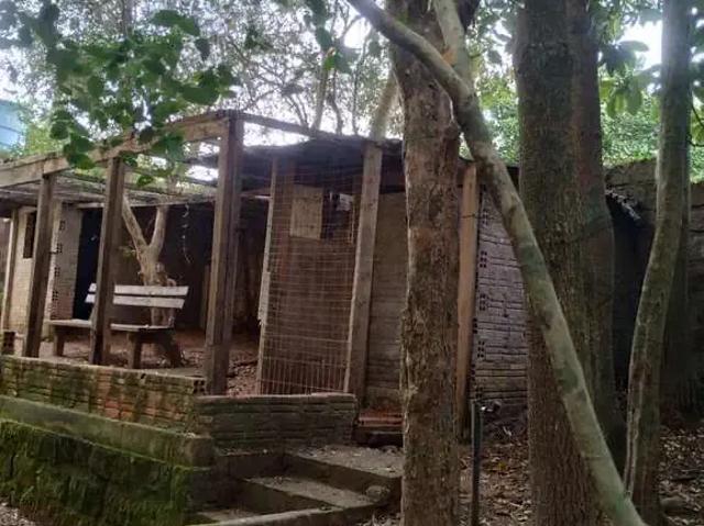 Sítio e chácara venda em Região Geográfica Imediata de Porto Alegre, Região Metropolitana de Porto Alegre