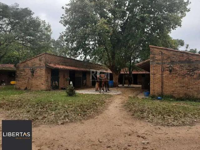 Sítio e chácara venda em Região Geográfica Imediata de Porto Alegre, Região Metropolitana de Porto Alegre