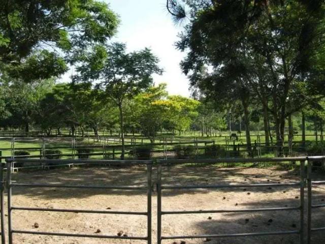 Sítio e chácara venda em Região Geográfica Imediata de Porto Alegre, Região Metropolitana de Porto Alegre