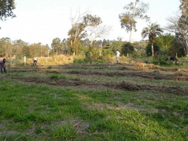 Sítio e chácara venda em Lami, Porto Alegre