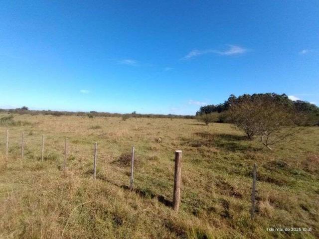 Sítio e chácara venda em Região Geográfica Imediata de Porto Alegre, Região Metropolitana de Porto Alegre